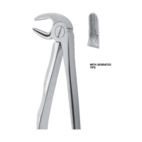 Lower premolars Fig 13