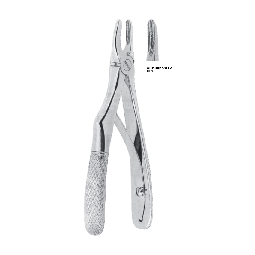 Upper incisors Fig 1