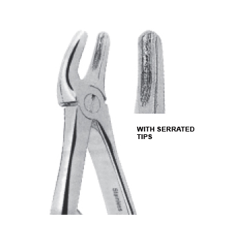 Upper premolars Fig 2