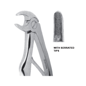 Lower Incisors Fig 5